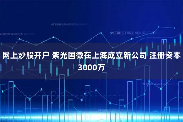 网上炒股开户 紫光国微在上海成立新公司 注册资本3000万