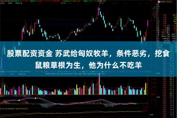 股票配资资金 苏武给匈奴牧羊，条件恶劣，挖食鼠粮草根为生，他为什么不吃羊