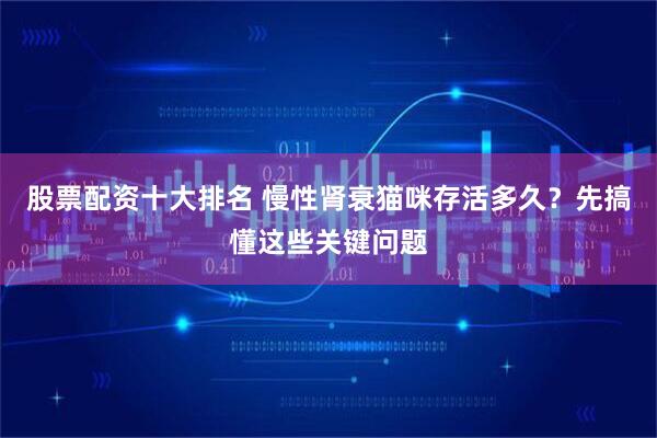 股票配资十大排名 慢性肾衰猫咪存活多久？先搞懂这些关键问题